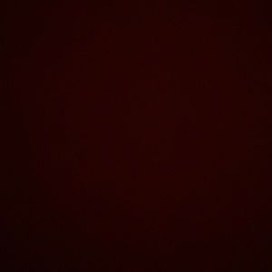 Meet your Posher, Riley